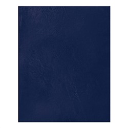 Тетрадь А5 48л кл BG бумвинил синий Т5бв48к_12310/100/Россия