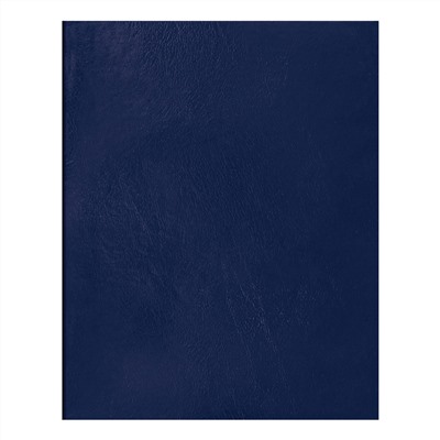 Тетрадь А5 48л кл BG бумвинил синий Т5бв48к_12310/100/Россия