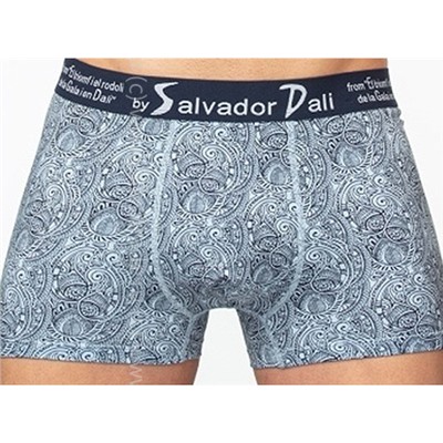 SD2055-1 Трусы мужские Salvador Dali Дроп боксеры