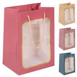 Пакет подарочный 18*25*13 с окном ассорти 4 вида КОКОС 231834/12/Китай