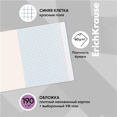 Тетрадь 48 листов в клетку, ErichKrause Lavender, обложка мелованный картон, выборочный УФ-лак, блок офсет 100% белизна, МИКС (1 вид в спайке)
