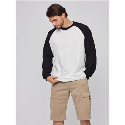 Шорты мужские арт. 08197