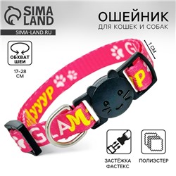 Ошейник для кошек с фастексом «Glaмур», 30 х 1 см