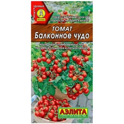 Томат Балконное Чудо горшечный