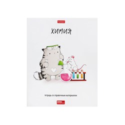 Тетрадь 48 листов в клетку «Приключения кота Пирожка» ХИМИЯ, обложка мелованная бумага, с интерактивным справочником, блок офсет