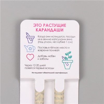 Набор для выращивания, карандаши подарочные «Мята и Паприка», mini, простые чернографитные, 2 шт.