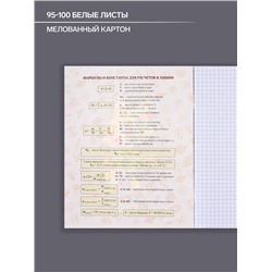 Тетрадь предметная 48 листов в клетку, Calligrata «Неоновые звери. Химия», обложка мелованный картон