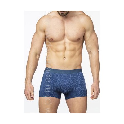 SG2925-2 Трусы мужские Sergio Dallini Дроп боксеры