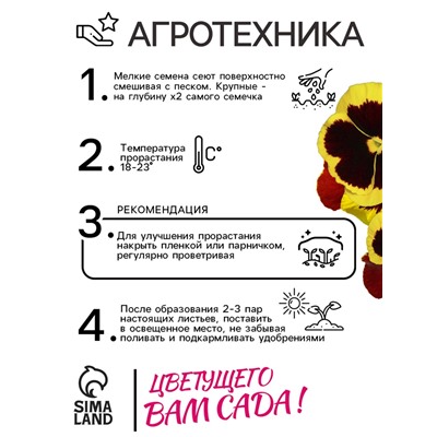 Семена Виола "Майя Виттрока", ц/п,  0,05 г