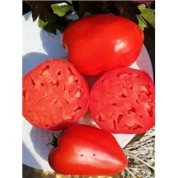 Семена Томат Подарок тетушки Сварло, арт.: 75068