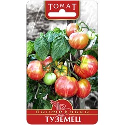 Томат Туземец