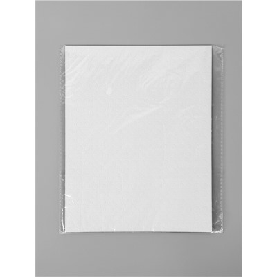 Клейкая лента двухсторонняя "Круглый белый" диаметр 0,8 см на листе 374 шт 25х19,5 см