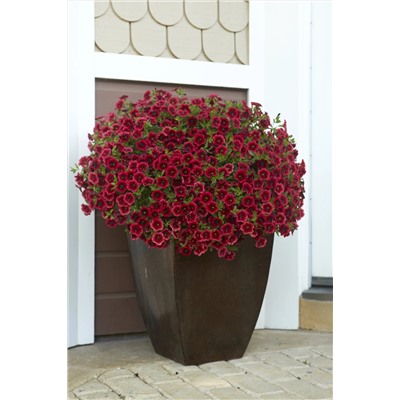 Набор калибрахоа №2