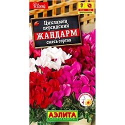 Семена Цикламен персидский Жандарм, арт.: 10936