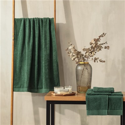 Набор махровых полотенец LoveLife "Natural eucalyptus" 3 шт: 70х130,50х80,30х50см хл100%