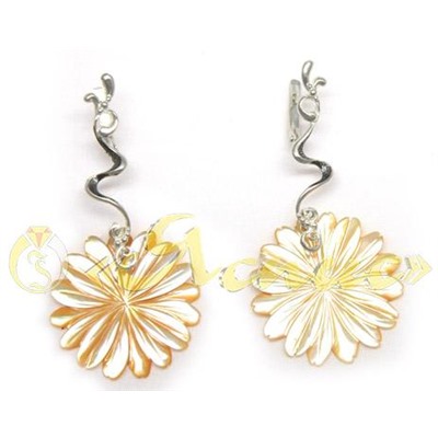 1069С   Гербарий