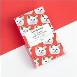 Носки женские новогодние KAFTAN «Внимание» размер 36-40 (23-25 см), набор 2 пары