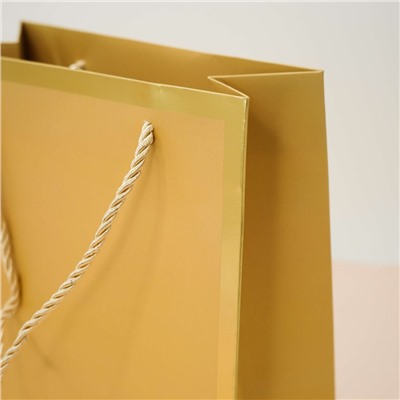 Пакет подарочный (S) «Classic line», gold (24.5*19.5*9.5)
