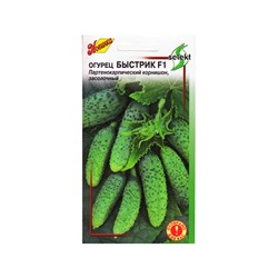 Семена огурца "Быстрик", F1,  10 шт.
