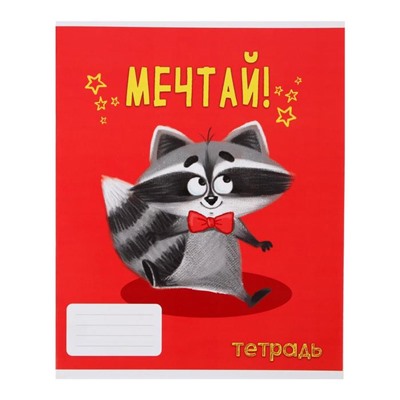 Тетрадь 24 листа в линейку, Calligrata «Советы енота», обложка мелованный картон, МИКС