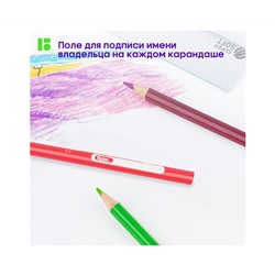 Карандаши цветные Berlingo "SuperSoft. Жил-был кот", 12цв., трехгран., заточен., картон, европодвес