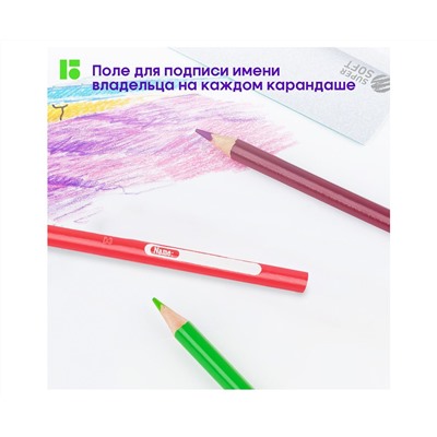 Карандаши цветные Berlingo "SuperSoft. Жил-был кот", 72цв., трехгран., заточен., картон, европодвес