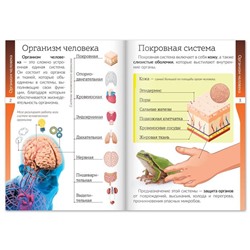 Набор книжек-шпаргалок «Мир природы и человека», 6 шт.