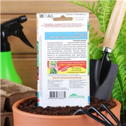 Семена огурец «Уральский корнишон F1», раннеспелый, партенокарпический, 10 шт.