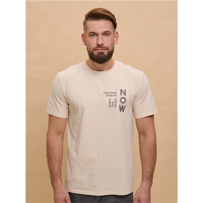 Футболка мужская