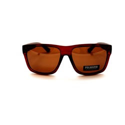 Мужские поляризационные очки - Polarized 2029 c33
