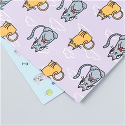 Бумага для скрапбукинга двусторонняя «Котики», плотность 180 г, 15.5×17 см