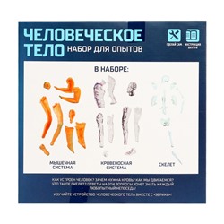 Научный опыт «Человеческое тело»