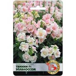 Антирринум махровый Твинни F1 Эплблоссом
