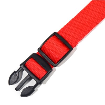 Ошейник с подсветкой размер XL, ОШ 52-60×2.5 см, 3 режима свечения красный