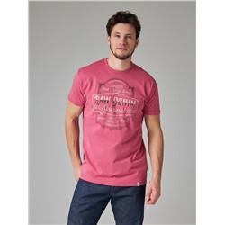 Футболка мужская арт. 02285/Denim