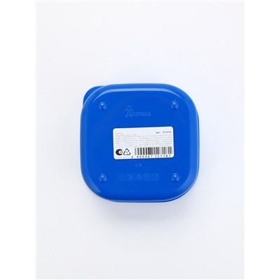 Ланч - бокс новогодний «Вкус нового года», 700 мл