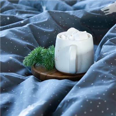 Постельное бельё "Этель" 1.5 сп Magic night 143х215 см, 150х214 см, 70х70 см - 2 шт, бязь
