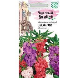 Бальзамин Экзотик Карлик чуд.балкон