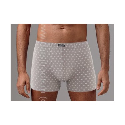 Трусы мужские GS028 Gentlemen шорты