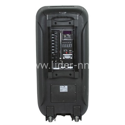 Колонка 12"  (20-05 DANCE BOX 500) динамик 2шт/12" ELTRONIC с TWS
