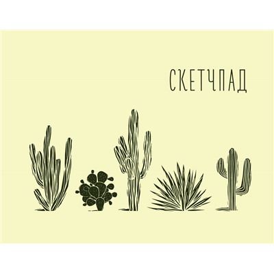 Кактусы. Скетчпад (230х180мм, офсет 160 гр., 40 страниц, евроспираль)