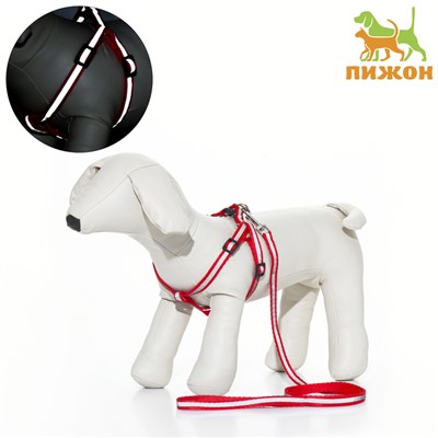 Комплект со светоотражающей лентой, ошейник 120×1 см, ОГ 26-40 см, красный