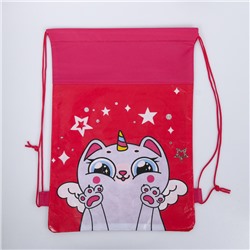 Мешок для обуви «Единокот» непромокаемое полотно 41×30 см