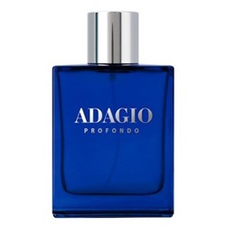 DILIS ADAGIO PROFONDO men 100 мл edp