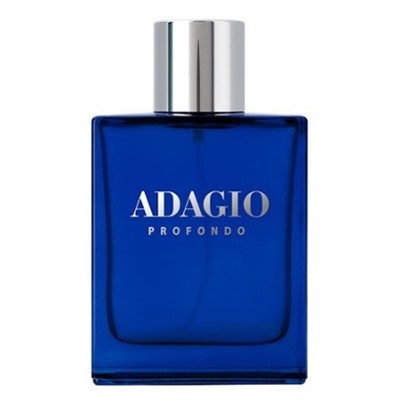DILIS ADAGIO PROFONDO men 100 мл edp