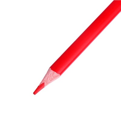 Карандаши цветные 12 цветов BrunoVisconti Easycolor, трёхгранные, особо мягкие