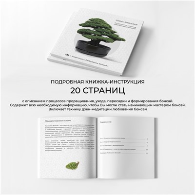 Набор д/создания бонсай "Сад Радости", "Сосна японская"