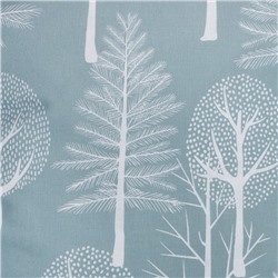 Постельное бельё Этель 1.5 сп Forest 143х215 см, 150х214 см, 70х70 см - 2 шт