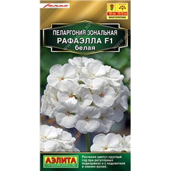 1480 Пеларгония Рафаэлла F1 белая 5шт
