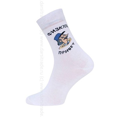 Носки мужские 23С2153 487 Брестские Союзмультфильм Conte [6шт] Дроп х/б